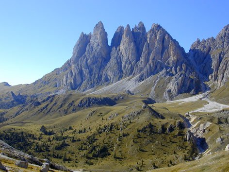 the towers